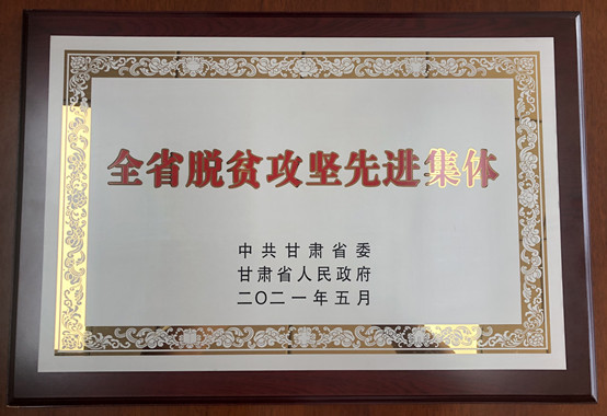 1-美加墨世界杯官方网站荣获甘肃省脱贫攻坚先进集体.jpg